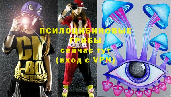 стафф Мегион