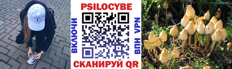 Галлюциногенные грибы MAGIC MUSHROOMS  Таруса 